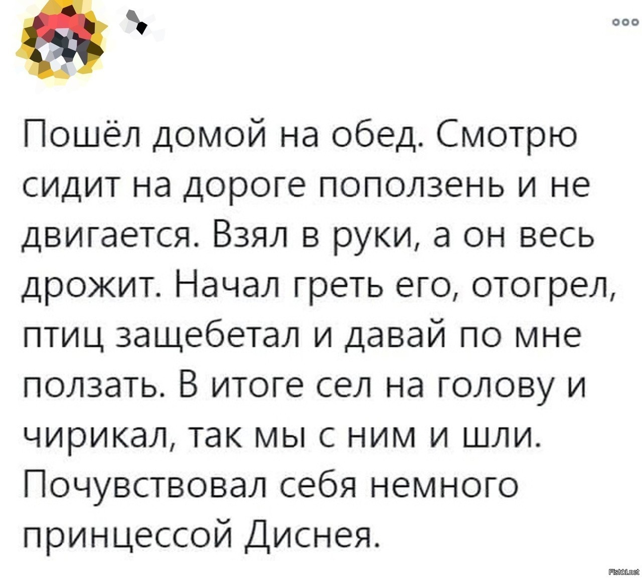 дрожать как осиновый лист фразеологизм. начинать дрожать. мы начали трясти березу кот решился на отчаянный поступок тип речи. озноб картинки. начинать дрожать.