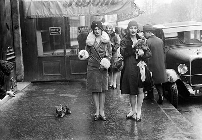 Молодые женщины гуляют с кошкой в ​​ноябре 1929 года в Париже, Франция.