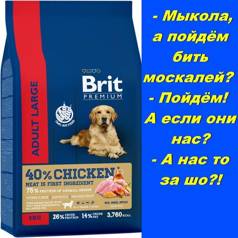 Як насрав  соби в шаровари не меняя ориентацию