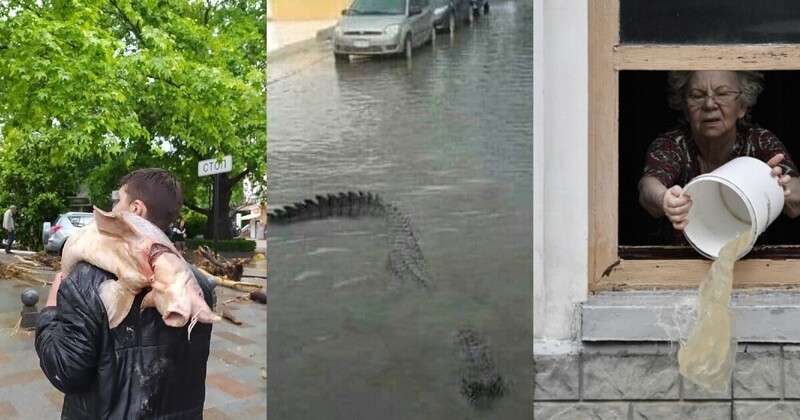 "По улице ходила большая крокодила": что происходит в Ялте после наводнения