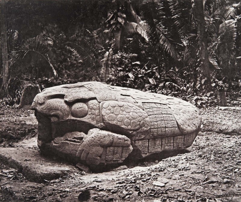 Зооморф майя, 785 г.н.э.