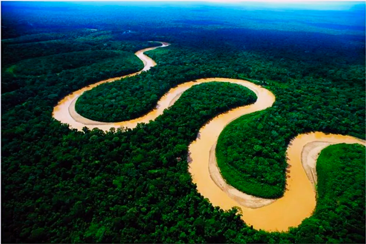 Амазонка сток. Южная Америка река Амазонка. Бразилия Амазонка. Бразилия Амазонская низменность. Перу река Амазонка.