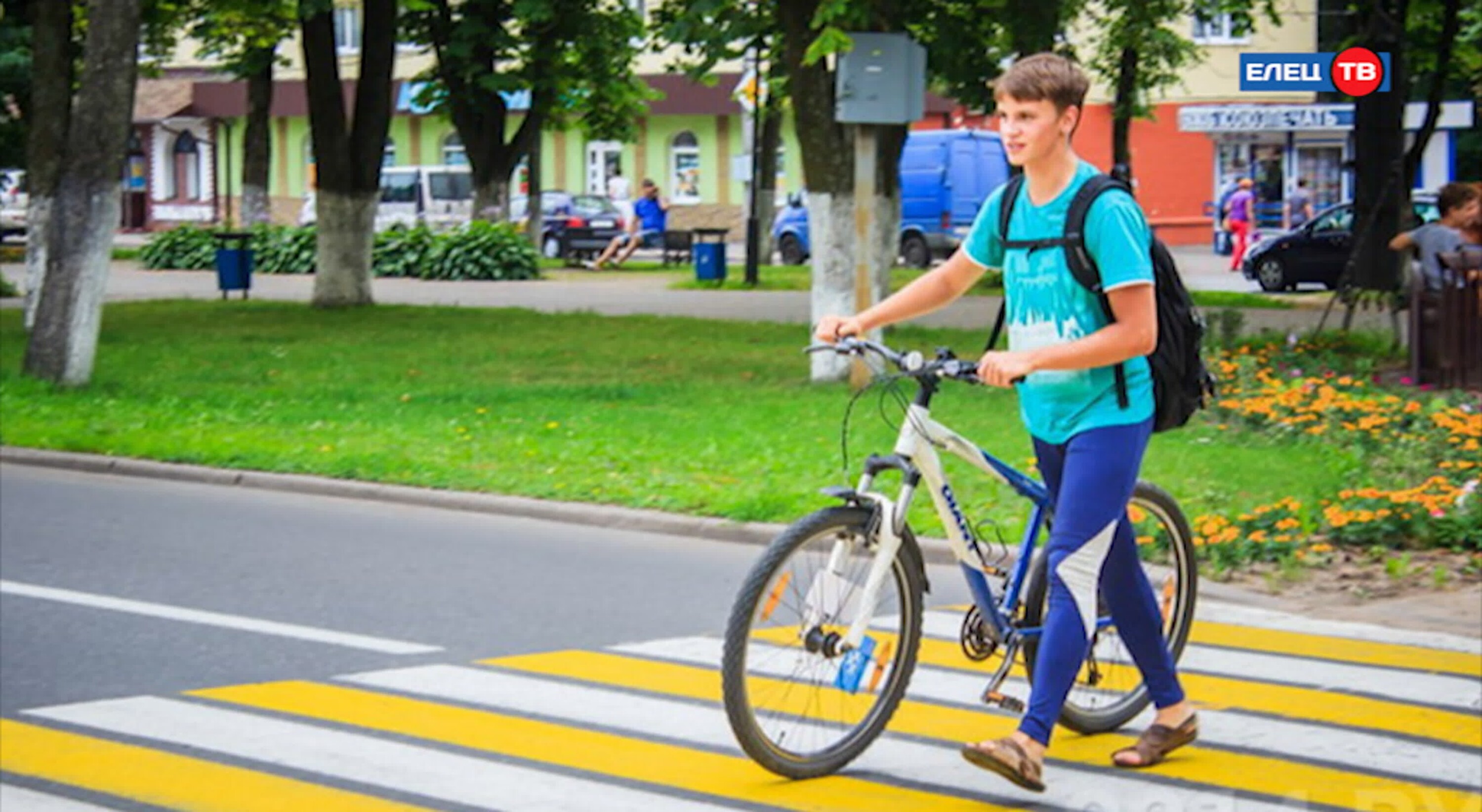 Можно передвигаться по области. Пешеход с велосипедом. Велосипед на пешеходном переходе. Велосипедист на дороге. Дороги для велосипедистов.
