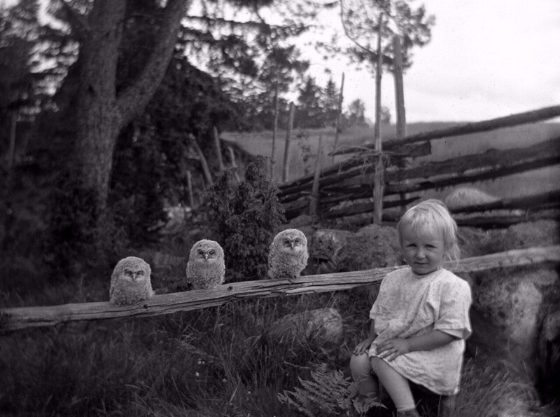 Три совы и маленькая девочка, Швеция, 1925 год