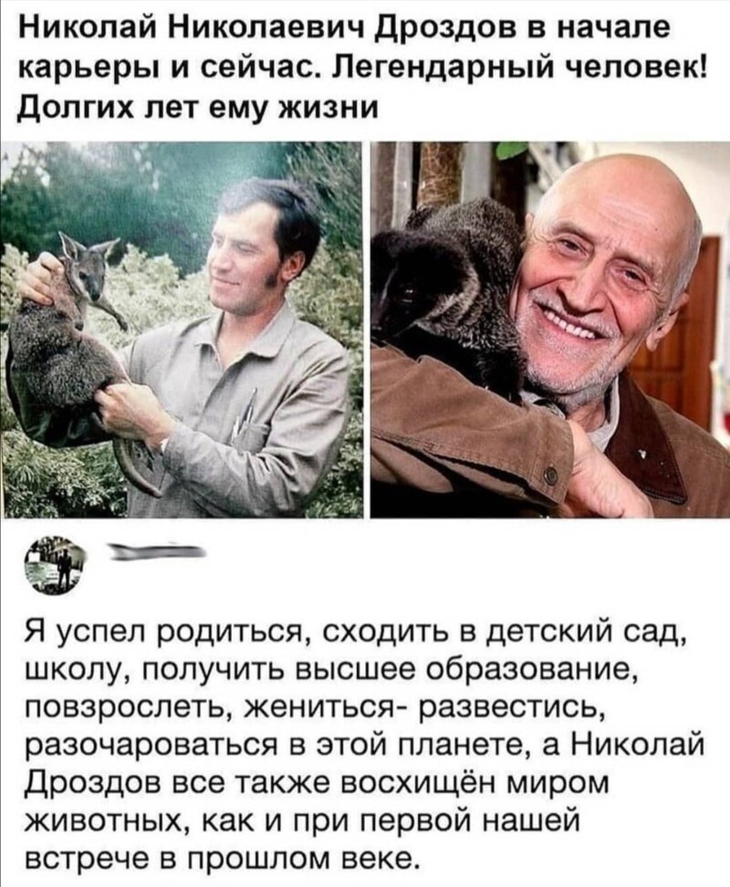 Калейдоскоп новостной полит. сатиры, и другое