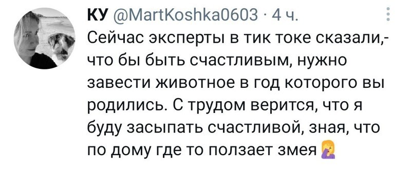 Калейдоскоп новостной полит. сатиры, и другое