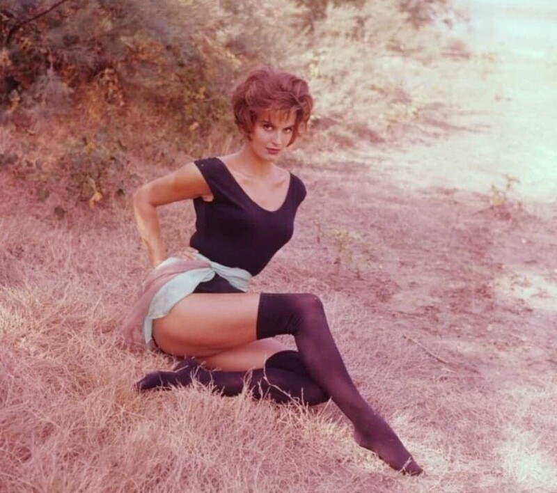 Мисс Франция 1954 года Ирен Тюнк, 1960-е