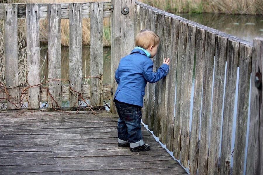 Интерес и любопытство. Любопытный мальчик. Мальчишки на заборе. Любопытные детки. Любопытный ребенок.