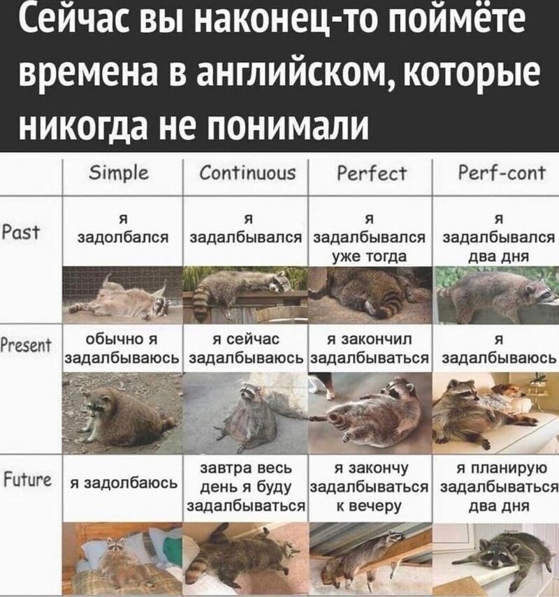 Полит.стёб и другое