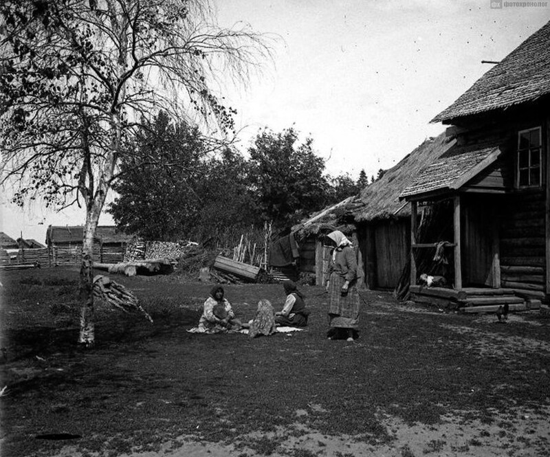 Образцовые домики и жизнь в новгородской деревне в 1913 году