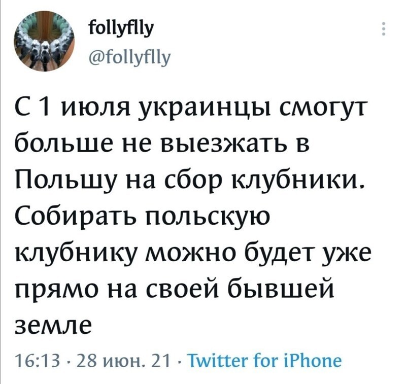 Калейдоскоп новостного полит. стёба и другое