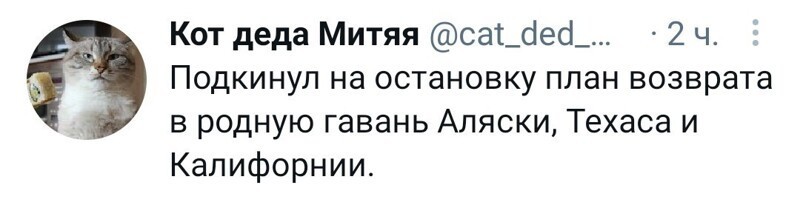 Калейдоскоп новостного полит. стёба и другое