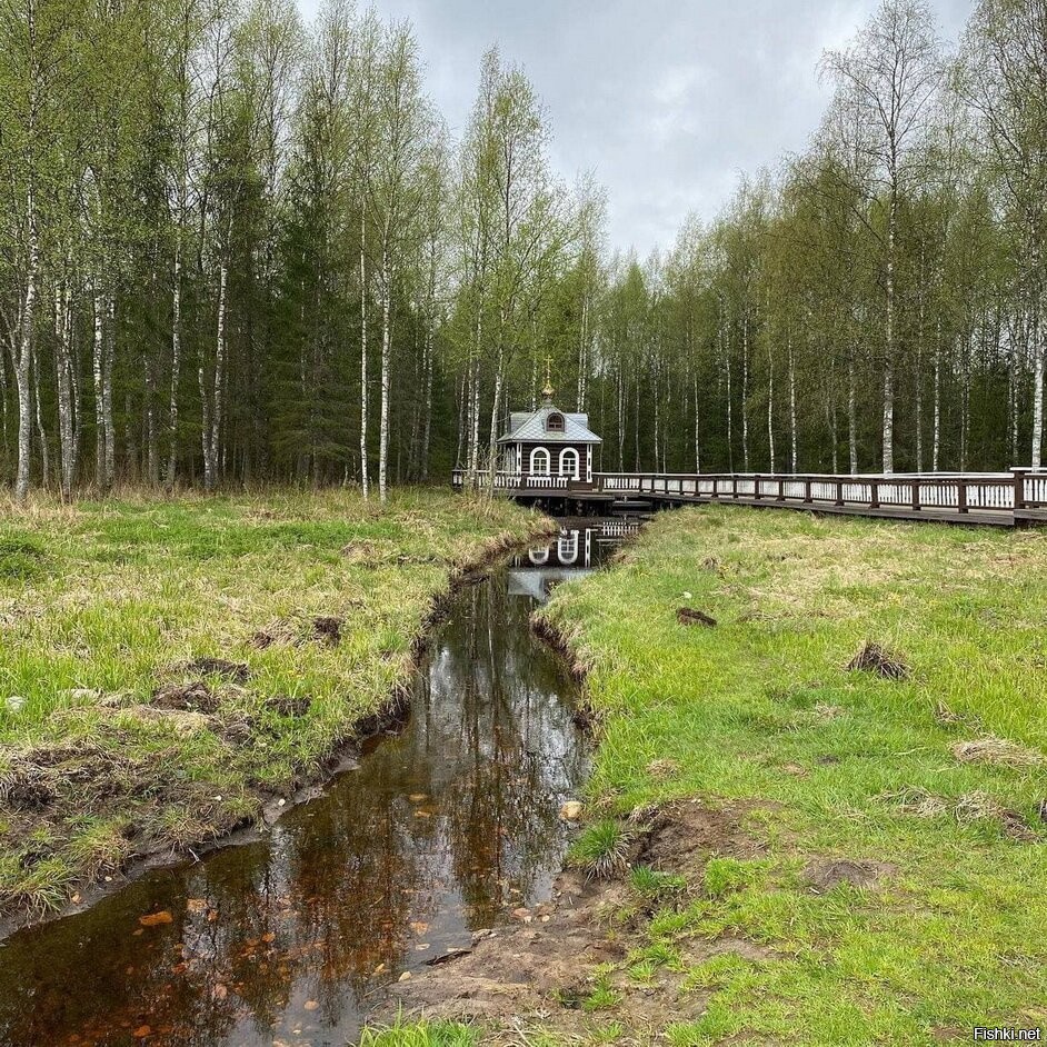 где берет свое начало река волга