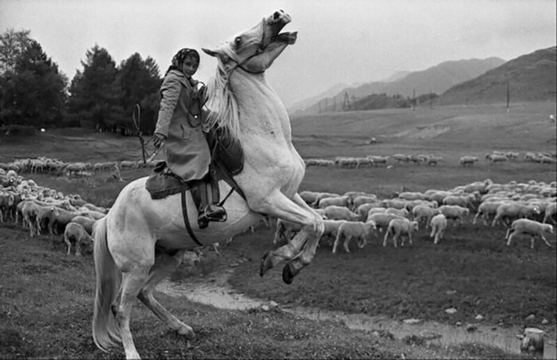 Пастушка на коне, 30 июля 1980 года, окраина села Онгудай, СССР