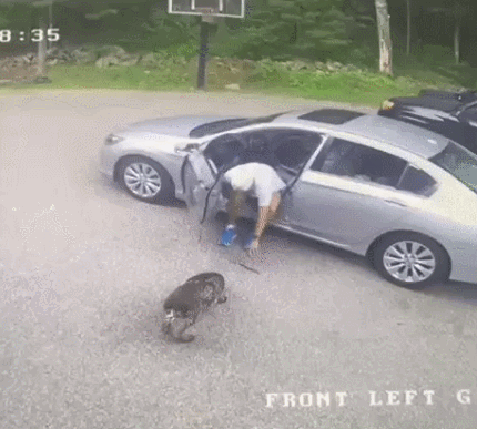 Игра закончится травмпунктом