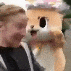 Гифки дня Гифки дня