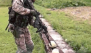 Гифки дня Гифки дня