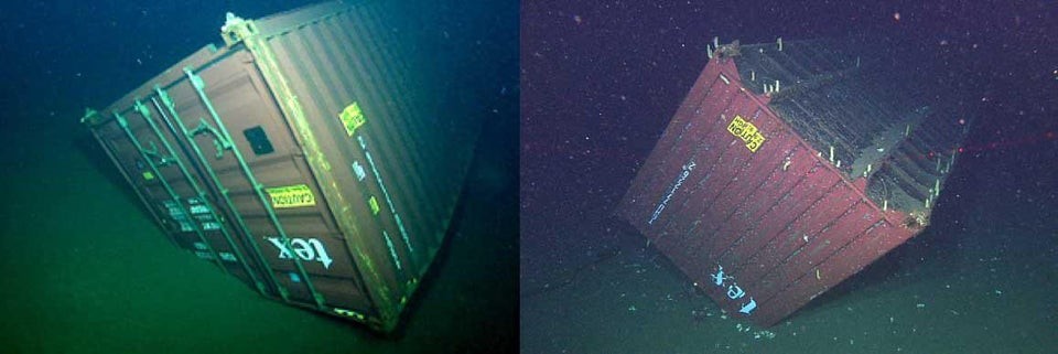 Мурашистое зрелище: 17 фотографий подводных объектов