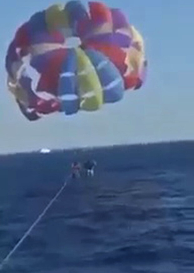 На курорте Красного моря акула выскочила из воды и откусила часть стопы парашютисту