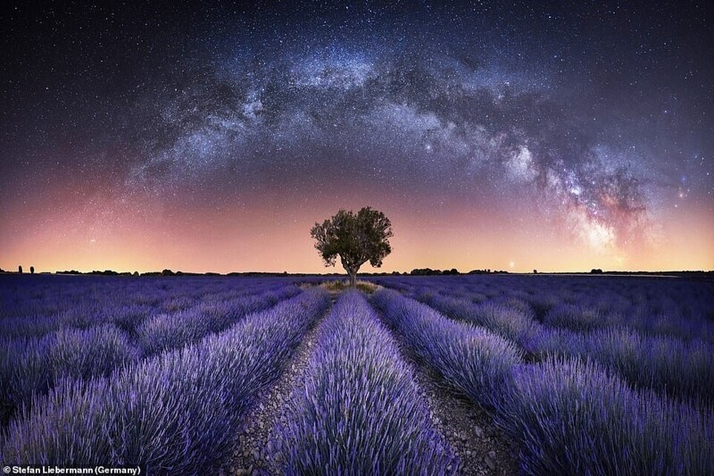 "Гармония", Стефан Либерманн. Панорама Млечного Пути над лавандовыми полями в Валенсоле, Франция