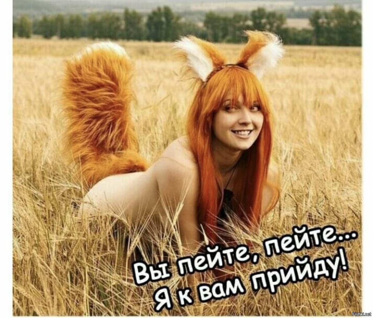 Картинка рыжий хвост