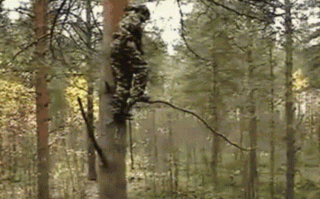 Как он вообще живет?