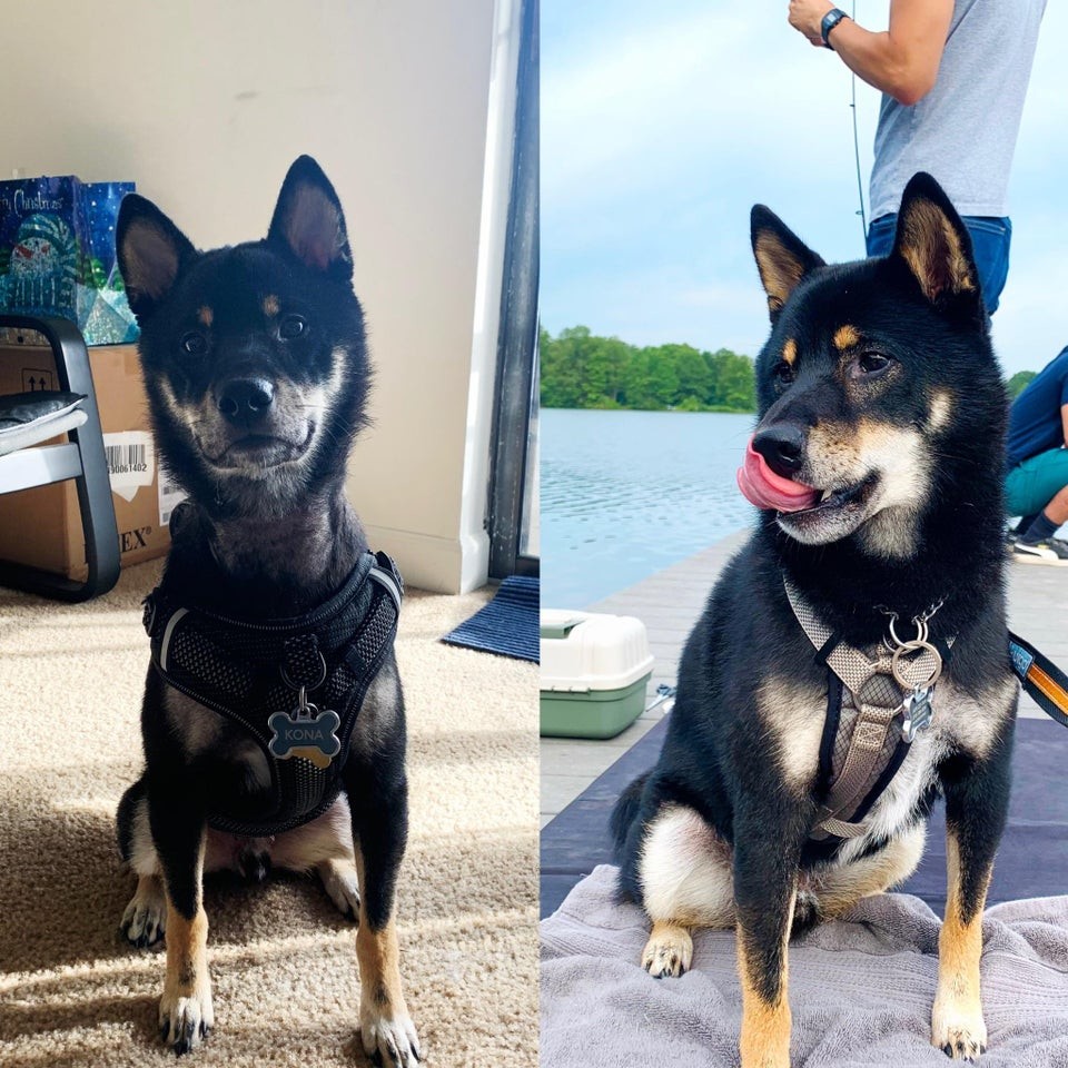 До и после (8 месяцев)