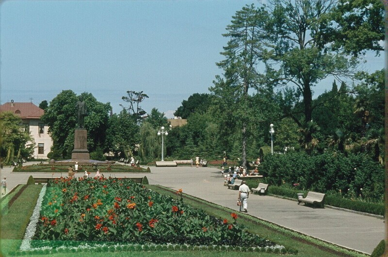 Сад в Сочи