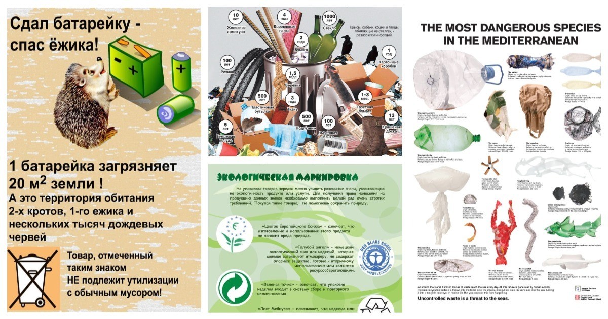 Путь мусора: 25 экологических шпаргалок для спасения мира