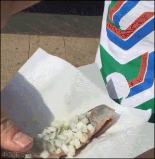 Гифки дня Гифки дня