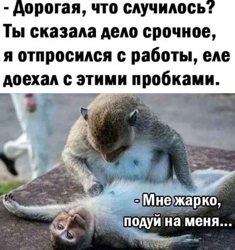 Что то скучно а хочешь выпью картинка