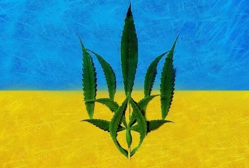 О политике и не только