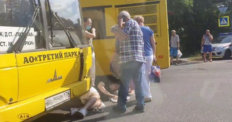 «Слона-то я и не приметил»: автобус сбил молодого человека в Санкт-Петербурге