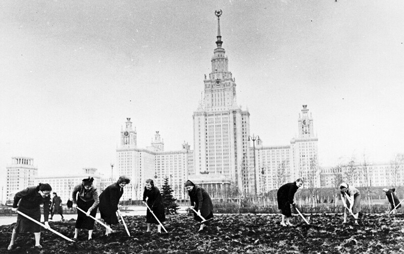 Будни 1953 года