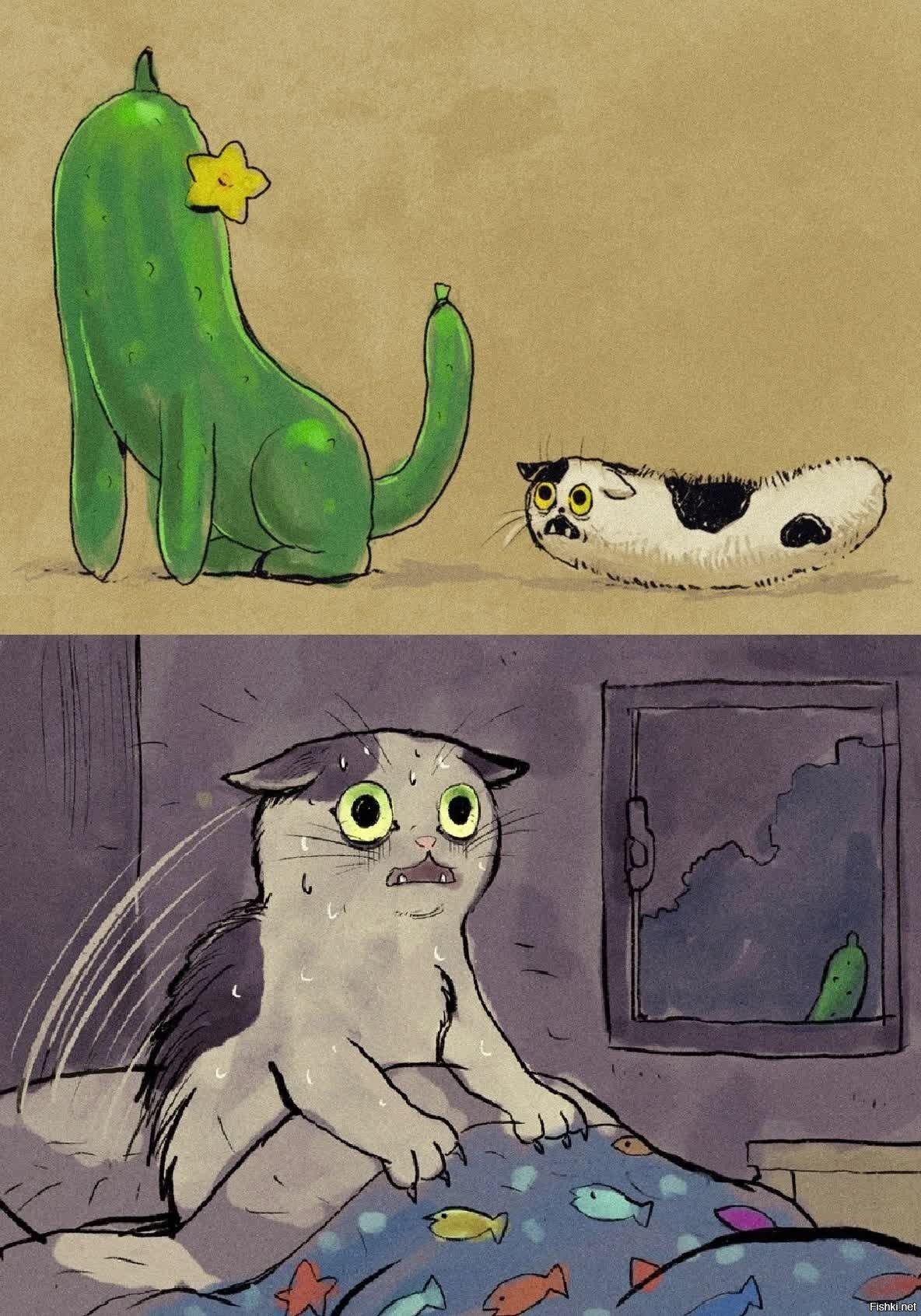 Кот и огурец приколы