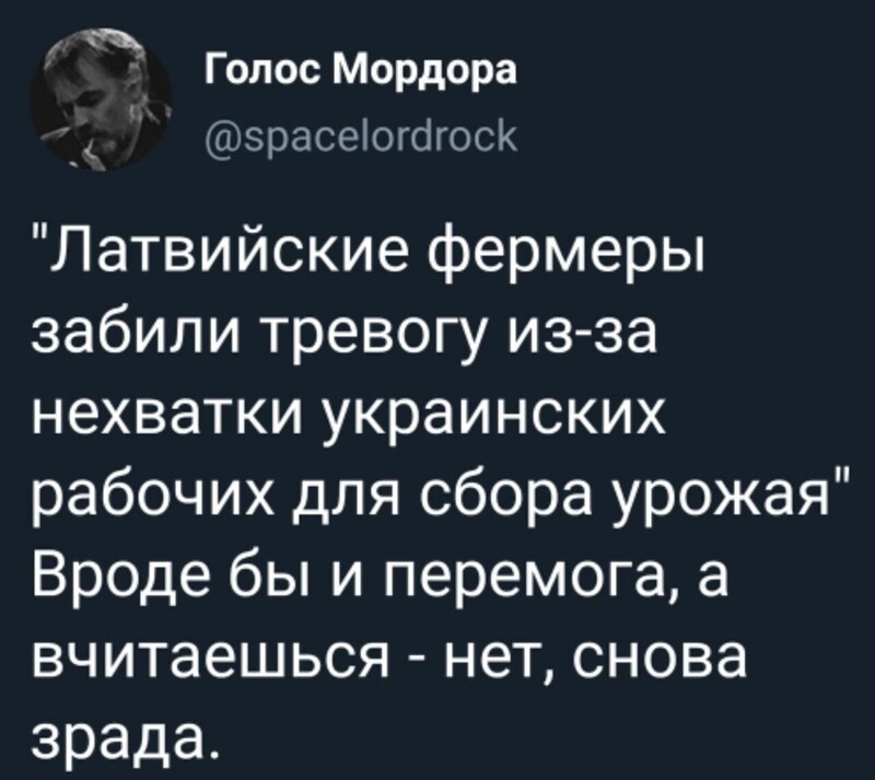 О политике и не только