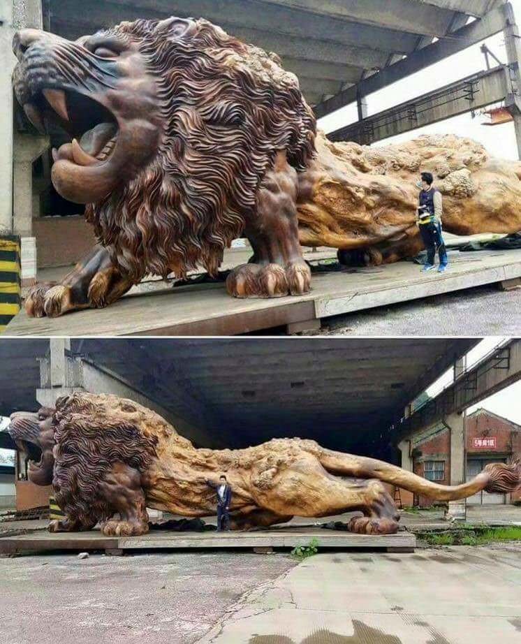 Гигантская скульптура льва, вырезанная из одного мертвого красного дерева. 20 человек работали над ней три года