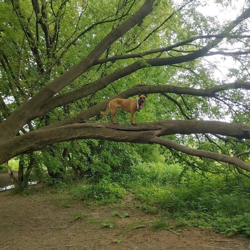 Фотоподборка