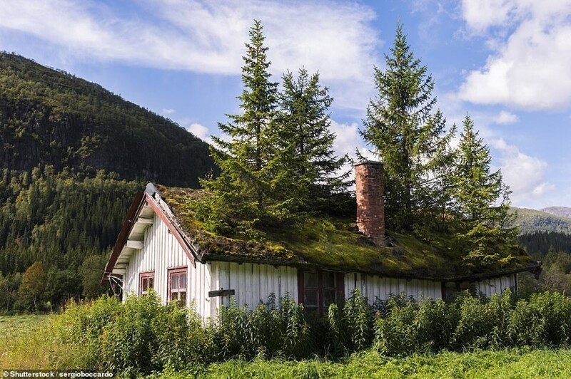 Этот заброшенный домик находится в местечке Тува в Норвегии, что в 160 километрах от столицы Осло