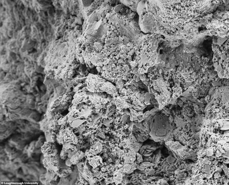 Вторичное электронное изображение метеорита, показывающее тонкие слоистые структуры в виде листьев при 10 000-кратном увеличении (электронная микрофотография)