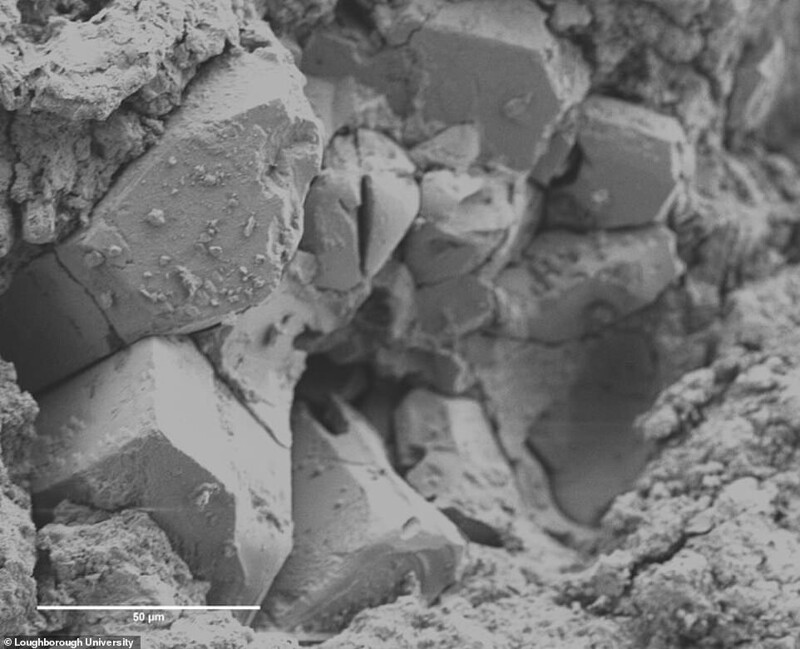 Вторичное электронное изображение минеральной хондры, внедренной в редкий углеродистый хондритовый метеорит (изображение, полученное с помощью электронной микрофотографии)