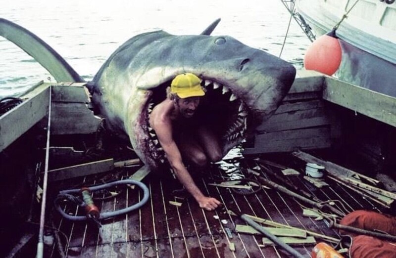 Мастер ремонтирует зубы гигантской акуле на съёмочной площадке фильма «Челюсти» режиссёра Стивена Спилберга, США, 1974 год.