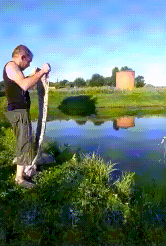 Мужику пора в тиктокеры