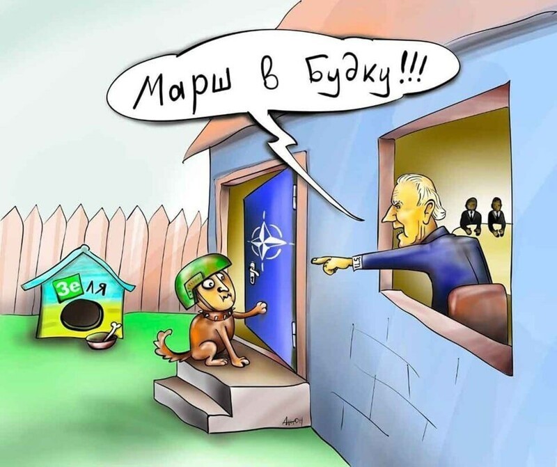 О политике и не только