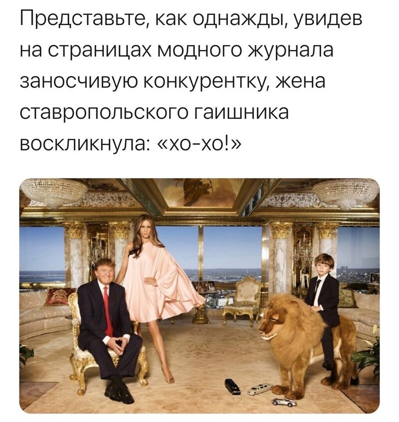 О политике и не только