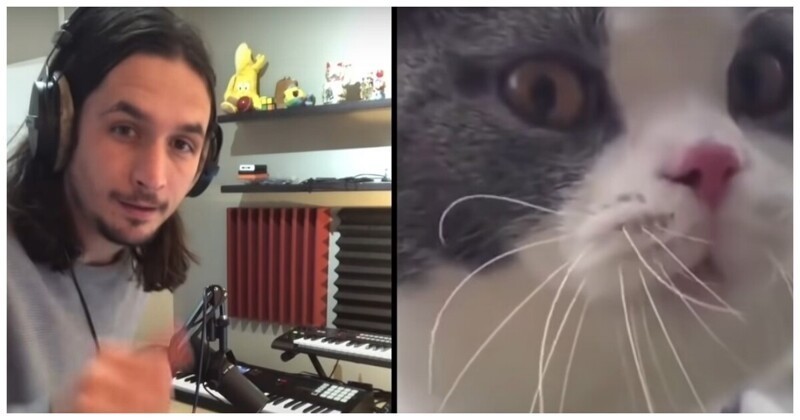 Музыкант The Kiffness создал новый музыкальный шедевр с мяукающим котом
