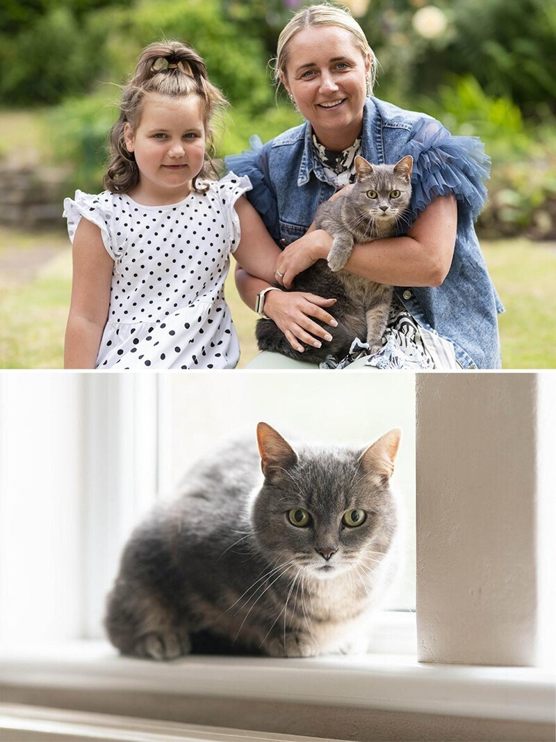 Кошка Дорис помогла маленькой хозяйке с лейкемией
