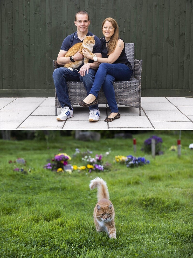 Пэдди - кот, который "работает" на кладбище
