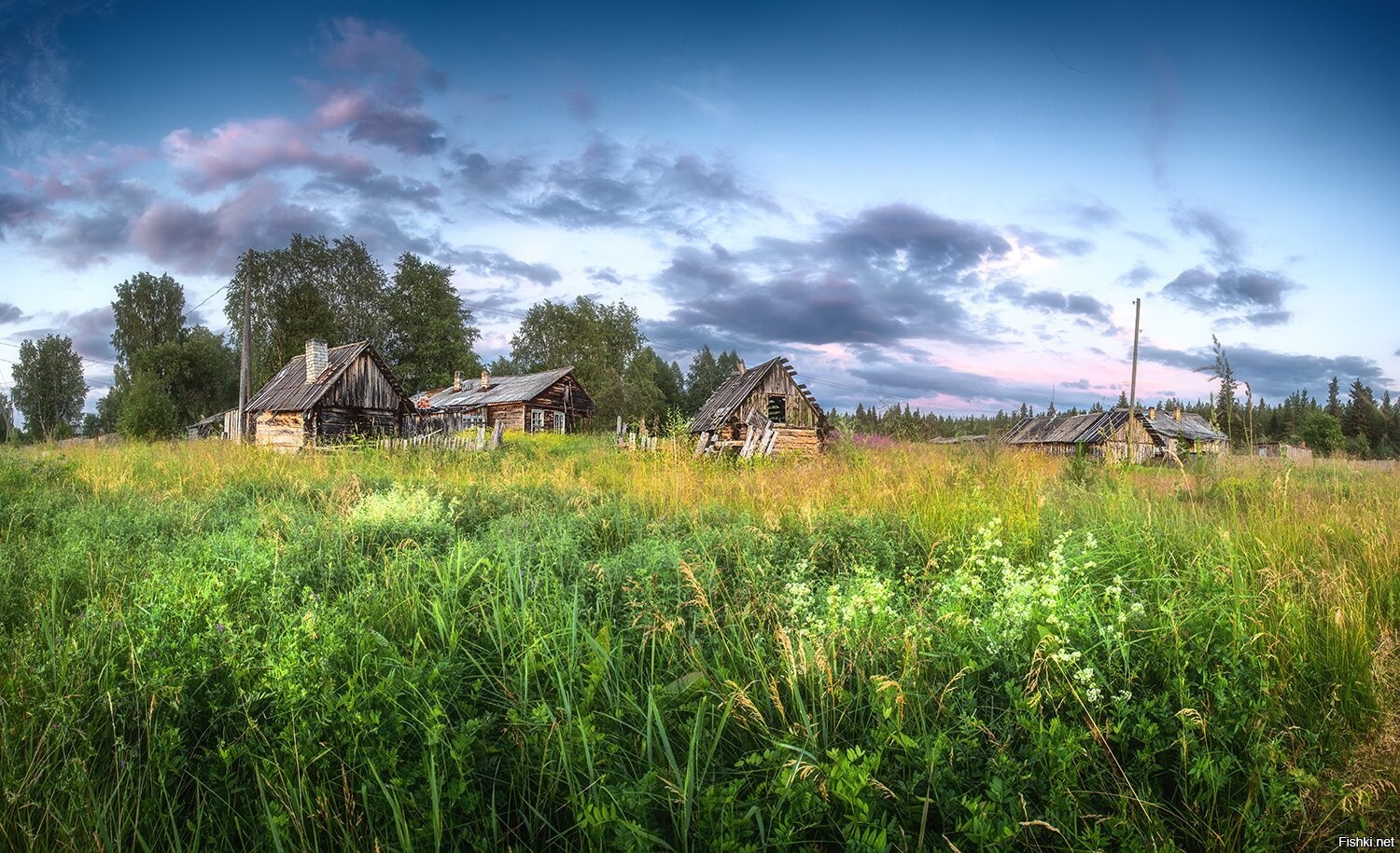 Фотограф Николай Андреев Фото