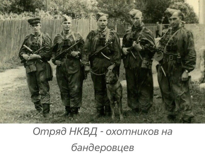 О политике и не только